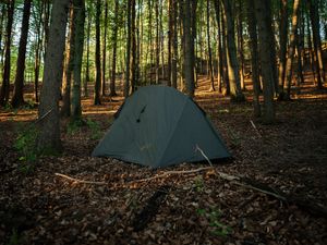 Preview wallpaper tent, camping, forest, trees