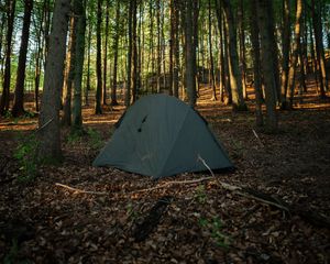 Preview wallpaper tent, camping, forest, trees