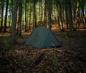 Preview wallpaper tent, camping, forest, trees