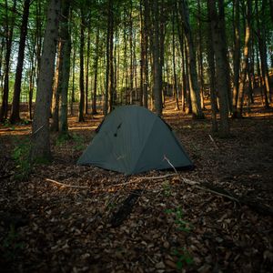 Preview wallpaper tent, camping, forest, trees