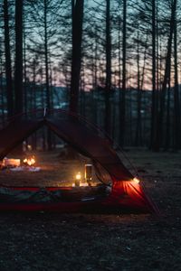 Preview wallpaper tent, camping, forest, nature