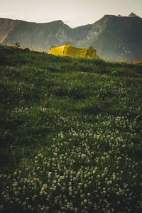 Preview wallpaper tent, camping, mountains, grass, nature