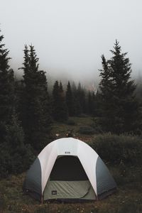 Preview wallpaper tent, camping, trees, fog, nature