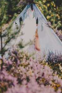 Preview wallpaper tent, child, flowers, lavender, nature