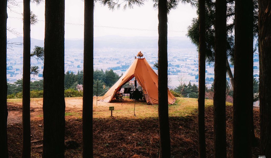 1024x600 Wallpaper tent, forest, camping, meadow