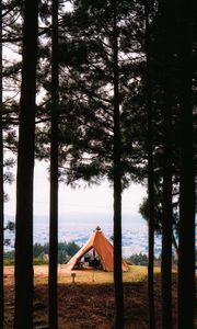 Preview wallpaper tent, forest, camping, meadow