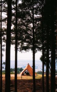 Preview wallpaper tent, forest, camping, meadow