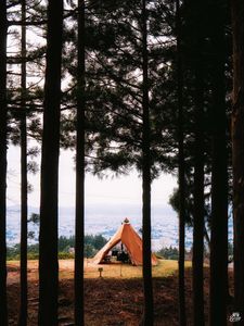 Preview wallpaper tent, forest, camping, meadow