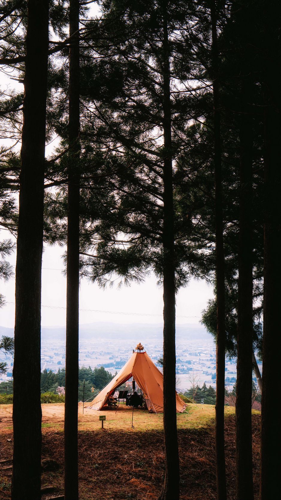 938x1668 Wallpaper tent, forest, camping, meadow