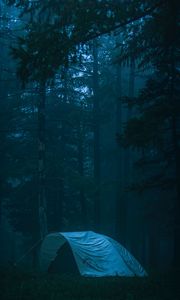 Preview wallpaper tent, forest, fog, camping, nature