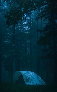 Preview wallpaper tent, forest, fog, camping, nature