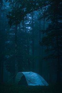 Preview wallpaper tent, forest, fog, camping, nature