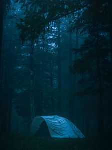 Preview wallpaper tent, forest, fog, camping, nature