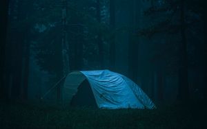 Preview wallpaper tent, forest, fog, camping, nature