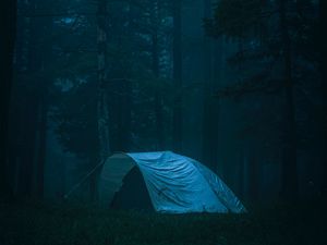 Preview wallpaper tent, forest, fog, camping, nature