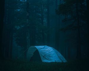 Preview wallpaper tent, forest, fog, camping, nature