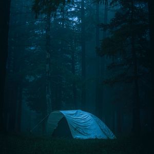 Preview wallpaper tent, forest, fog, camping, nature