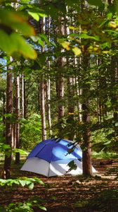 Preview wallpaper tent, forest, trees, camping, nature