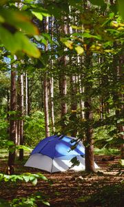 Preview wallpaper tent, forest, trees, camping, nature