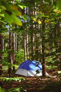 Preview wallpaper tent, forest, trees, camping, nature