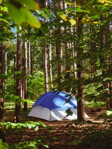 Preview wallpaper tent, forest, trees, camping, nature