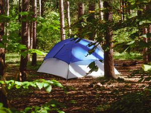 Preview wallpaper tent, forest, trees, camping, nature