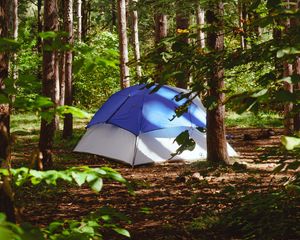 Preview wallpaper tent, forest, trees, camping, nature