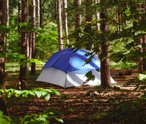 Preview wallpaper tent, forest, trees, camping, nature