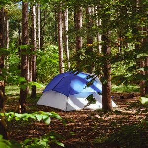 Preview wallpaper tent, forest, trees, camping, nature