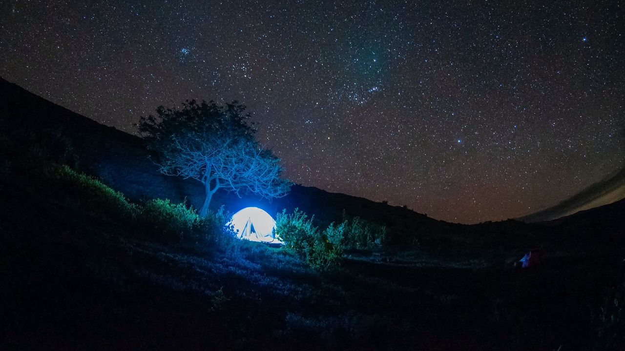 Wallpaper tent, light, trees, stars, night, dark