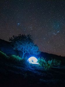 Preview wallpaper tent, light, trees, stars, night, dark