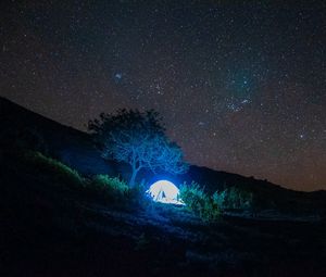 Preview wallpaper tent, light, trees, stars, night, dark