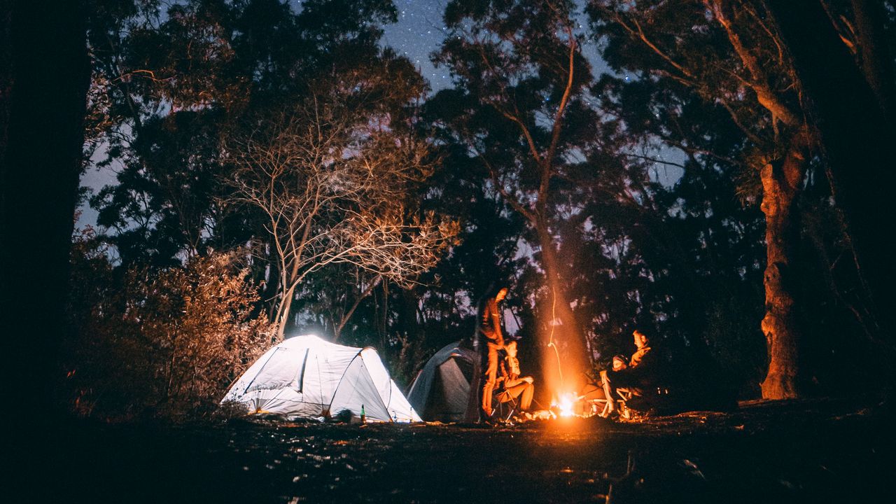 Wallpaper tent, starry sky, bonfire, camping, recreation, trees, forest