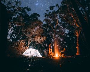 Preview wallpaper tent, starry sky, bonfire, camping, recreation, trees, forest