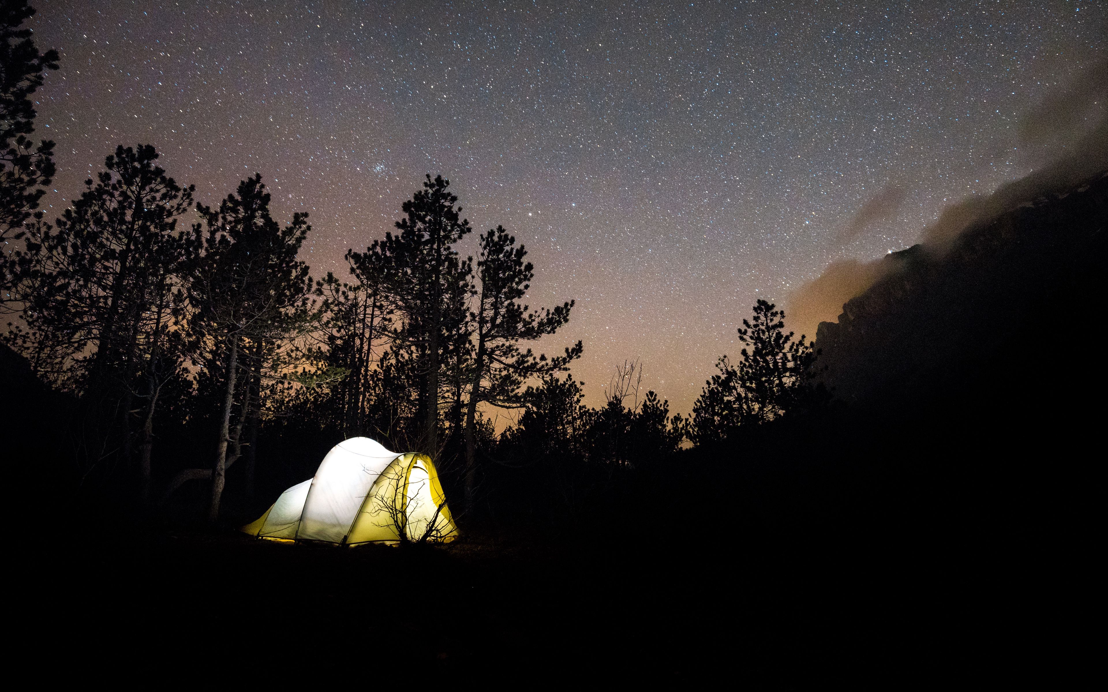 Палатка. Палатка в лесу. Палатка ночью. Палатка в лесу ночью.