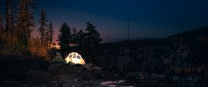 Preview wallpaper tent, starry sky, night, camping, trees