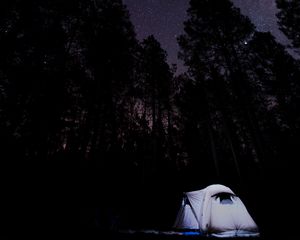 Preview wallpaper tent, starry sky, trees, night, camping