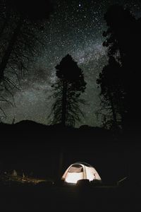 Preview wallpaper tent, trees, silhouettes, night, dark