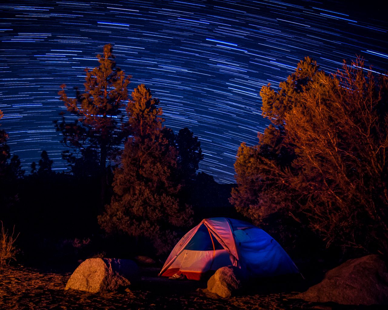 1280x1024 Wallpaper tent, trees, starry sky, long exposure, dark