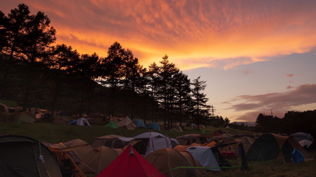 Wallpaper tents, camping, tourism, dawn, trees, sky