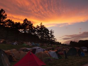 Preview wallpaper tents, camping, tourism, dawn, trees, sky