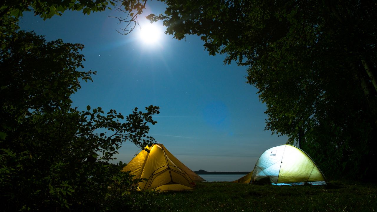 Wallpaper tents, camping, trees