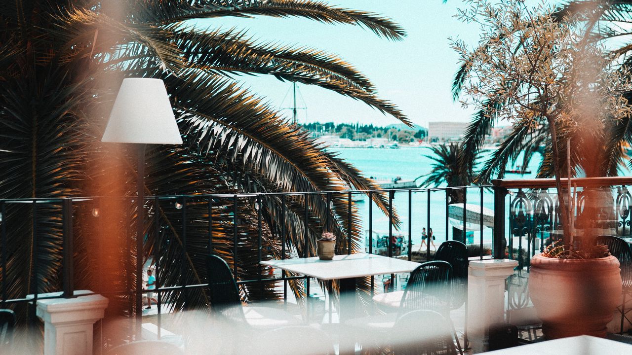 Wallpaper terrace, palm trees, beach, furniture, interior