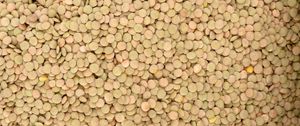 Preview wallpaper texture, background, peas