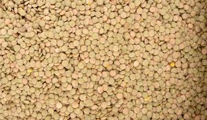 Preview wallpaper texture, background, peas
