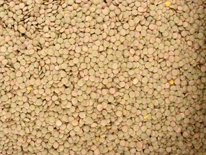 Preview wallpaper texture, background, peas