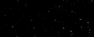 Preview wallpaper texture, black, spots
