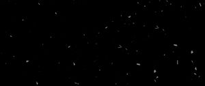 Preview wallpaper texture, black, spots