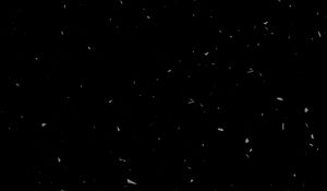 Preview wallpaper texture, black, spots