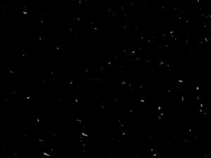 Preview wallpaper texture, black, spots
